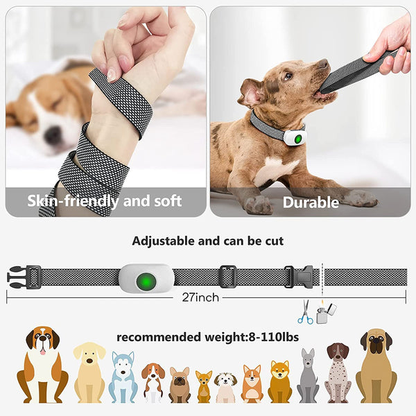 Dog Training Collar