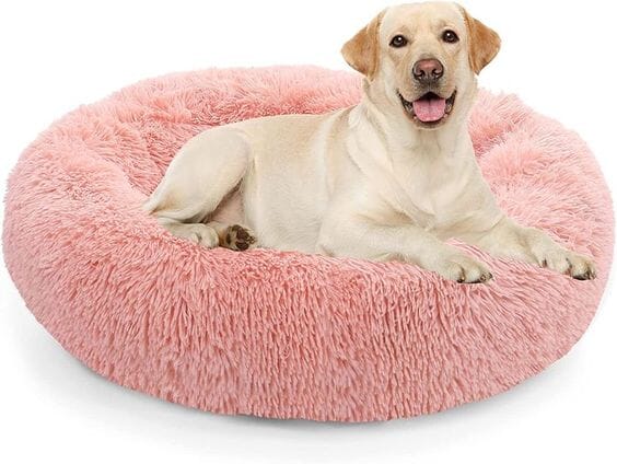 Calming Dog Bed pets 