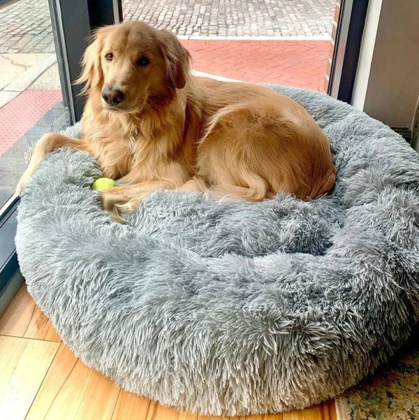 Calming Dog Bed pets 