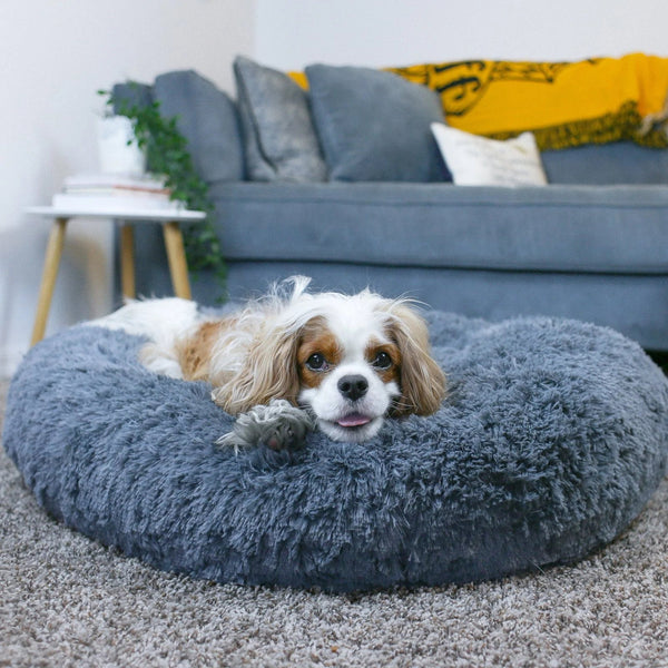 Calming Dog Bed pets 