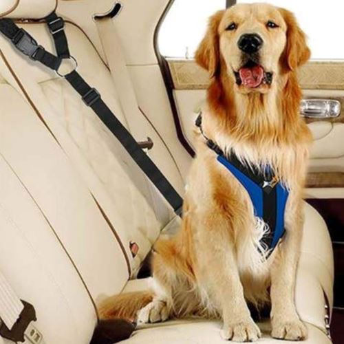 Dog/Pet Safety Seat belt Clip for Car Oz pet shop 